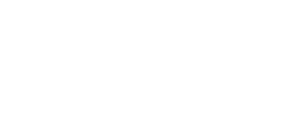 stripe logo indicating secure online payments